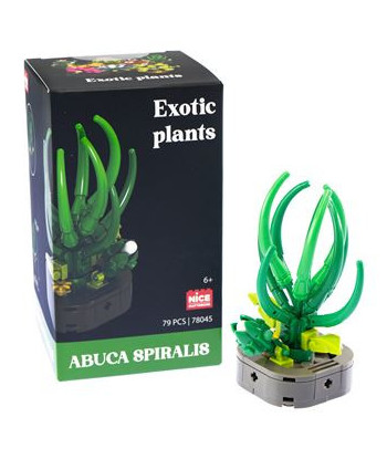 SET CONSTRUCCION Exotic Plants Planta Fabuca Spiralis